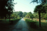 VIALEC