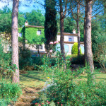 Holidays Haven- Localit�Poggente (Orvieto) $1,400,000.00 